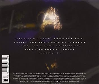 BIRDY BEAUTIFUL LIES レコード(新品、未開封) BIRDY BEAUTIFUL LIES レコード(新品、未開封) Amazon.co.jp